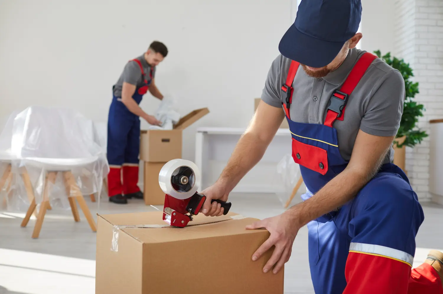 Packservice von Fleximove